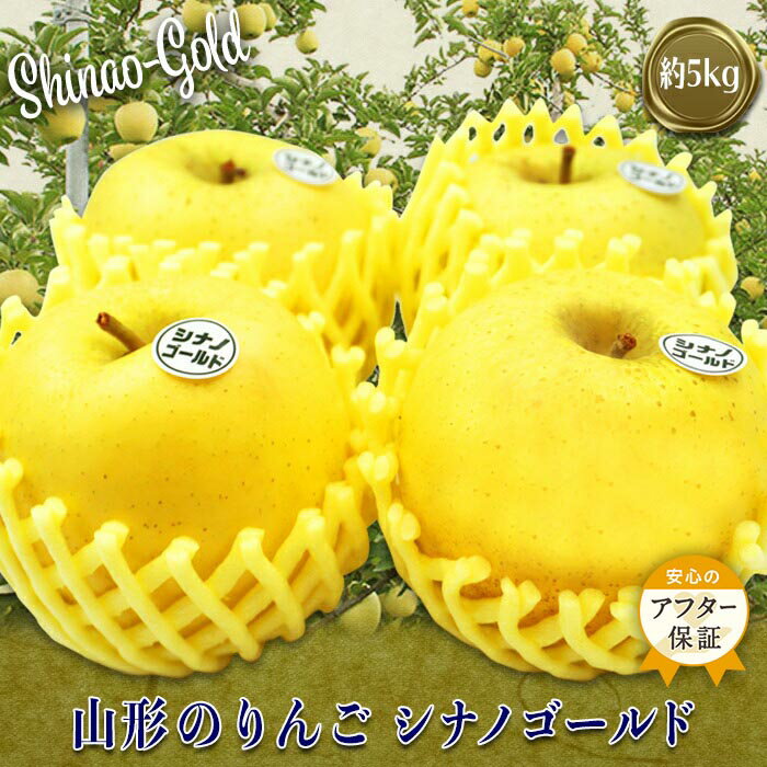 【ふるさと納税】＼アフター保証対象品／ 【2025年11月発送】山形のりんご（シナノゴールド）約5kg_H120(R7)