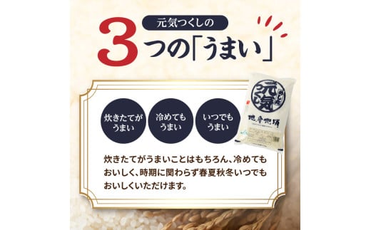 九州・福岡からお届け！ブランド米「元気つくし」定期便 10kg(5㎏×2)【全10回】  お米 米 コメ 白米 特A 直送 お弁当 おにぎり 炊きたて ツヤ 粘り もちもち 弾力 卵かけご飯 福岡県 