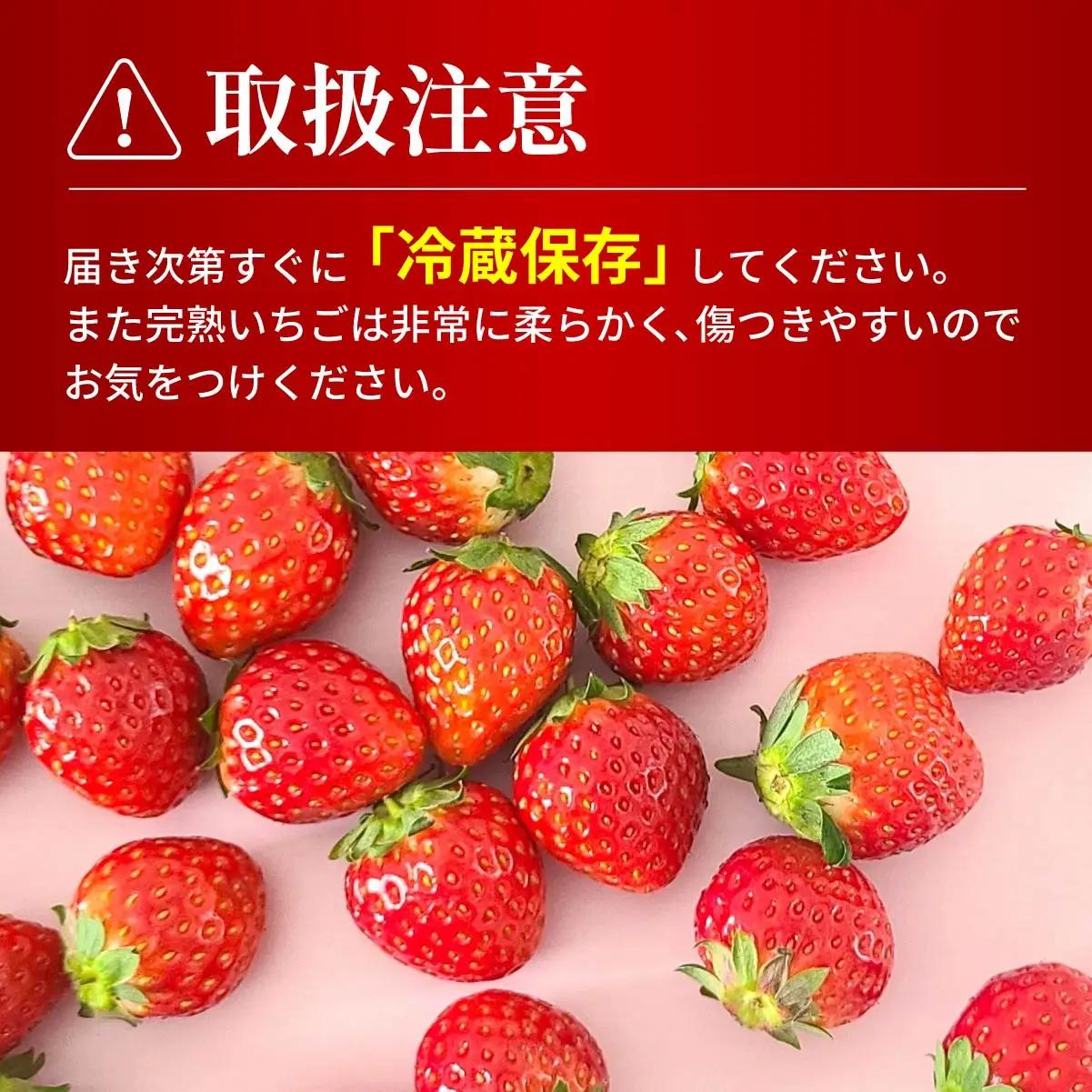 いちご 定期便4ヶ月 いちご 4種類食べ比べ 約280g×4パック