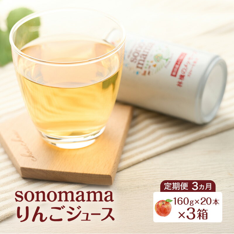 【ふるさと納税】《 定期便 3ヵ月 》 りんごジュース「sonomama」（160g×20本）×3箱 りんご リンゴ ジュース リンゴジュース 飲料