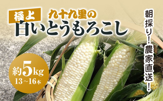 【先行予約】【6月上旬より発送】朝採り!農家直送! 九十九里の極上白いとうもろこし 約5kg（13～16本）／とうもろこし トウモロコシ コーン 白いとうもろこし 味甘ちゃんホワイト 朝採れ 濃厚な甘み 新鮮 農家直送 千葉県 千葉県山武市 SMBU001