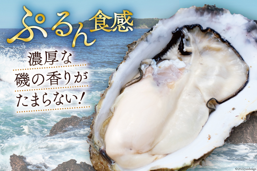 【期間限定発送】 TVで紹介！ 牡蠣 3～4年モノ 生食 殻付き牡蠣 約3kg(約16-18個入) [住喜水産 宮城県 気仙沼市 20564186] 期間限定 冷蔵 新鮮 濃厚 真牡蠣 カキ かき 生