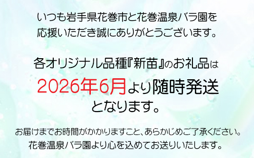 花巻温泉バラ園 オリジナル品種「オリンピアローズ2020」 新苗 <2026年6月より随時発送>【914】