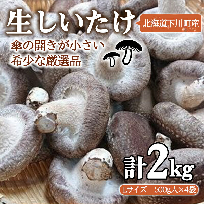 【ふるさと納税】簡易包装 生しいたけ【Lサイズ・傘の開きが小さい】2kg 軸太 肉厚 椎茸 シイタケ 野菜 やさい 故郷 ふるさと 納税 北海道 下川町 直径約6cm F4G-0024
