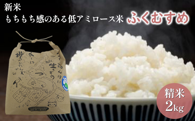 【先行予約】ふくむすめ2kg（令和7年度産）もちもち感のある低アミロース米　特別栽培米　若狭・天狗山農園 お米 人気 もち米 食感 農薬 化学肥料 