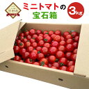 【ふるさと納税】【2024年7月上旬発送開始】まごころミニトマトの宝石箱 3kg 150玉前後 ミニトマト とまと 野菜 大分県竹田市荻町産 九州産 国産 新鮮 送料無料