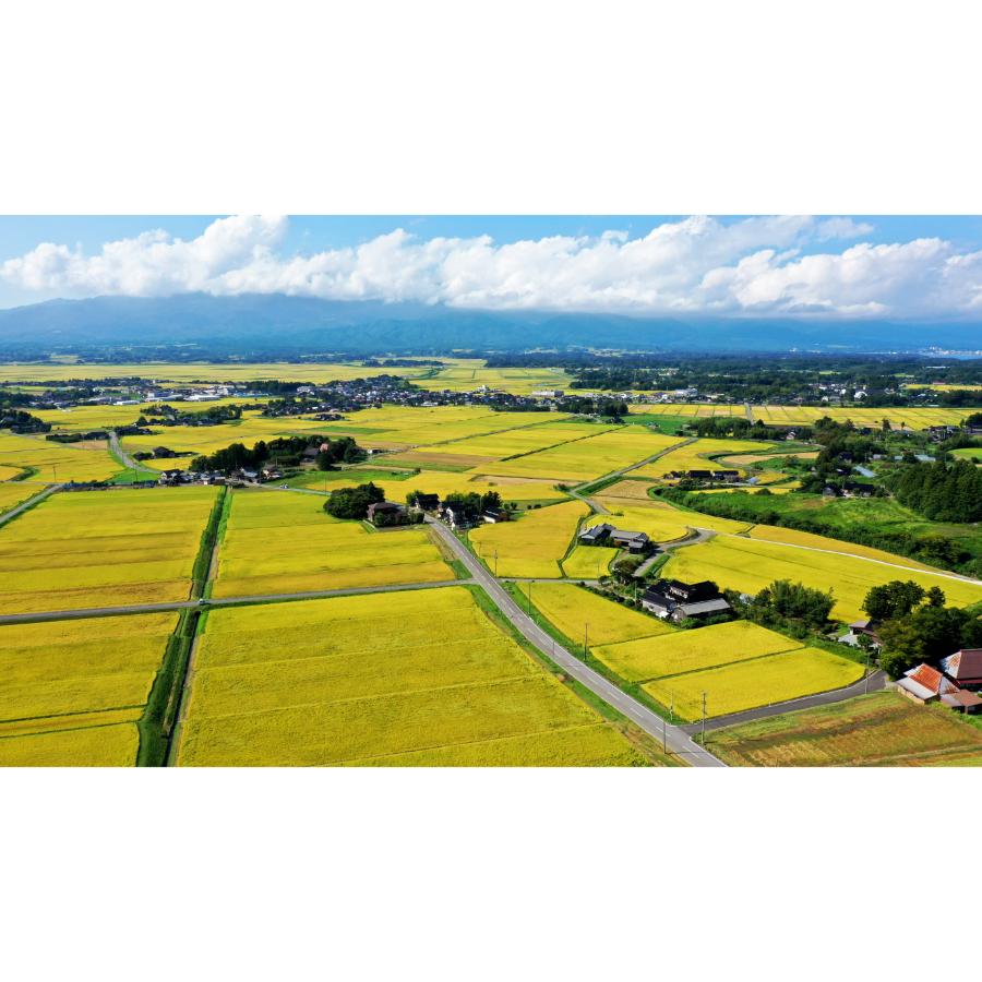 【令和7年産新米】＜食の宝島 佐渡＞農薬5割減「佐渡島産こしいぶき」無洗米10kg（5kg×2）