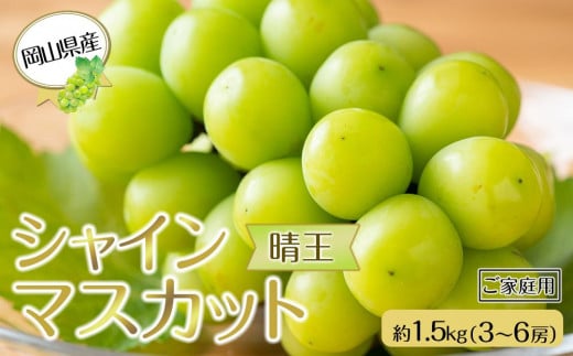 
            岡山県産 ぶどう  2025年発送 ご家庭用 シャインマスカット 晴王約1.5kg （3～6房）ブドウ フルーツ 果物
          