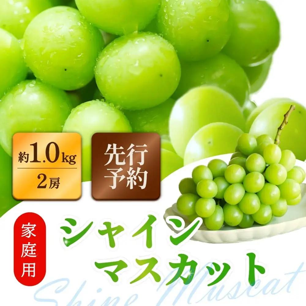 家庭用シャインマスカット 2房 合計1.0kg以上 ぶどう 葡萄 桃太郎御一行　岡山県産 2026年【8月中旬頃発送】