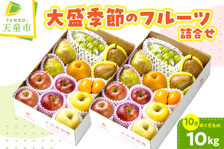大盛 季節の フルーツ 詰合せ 10月分 10kg フルーツ 果物 山形