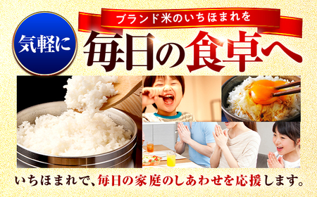 福井県産 いちほまれ 精米 10kg 県産ブランド米 / コメ 白米 新米 米 小浜市 / 梅田東米穀店[BFEK019]