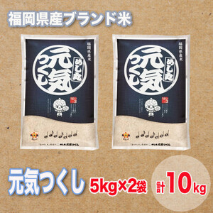 福岡県産ブランド米元気つくし(合計10kg)_ 精米 米 _【1411439】