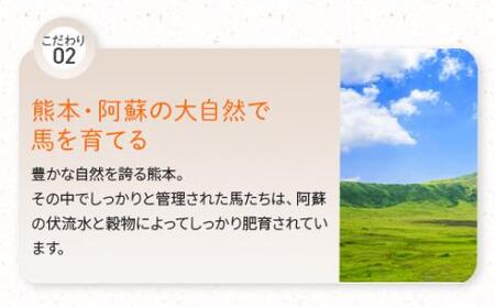 馬刺し 堪能 7種ブロック 食べ比べ 約540g 031-0493