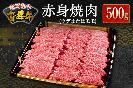 宮崎和牛『齋藤牛』赤身焼肉 計500g【C361】