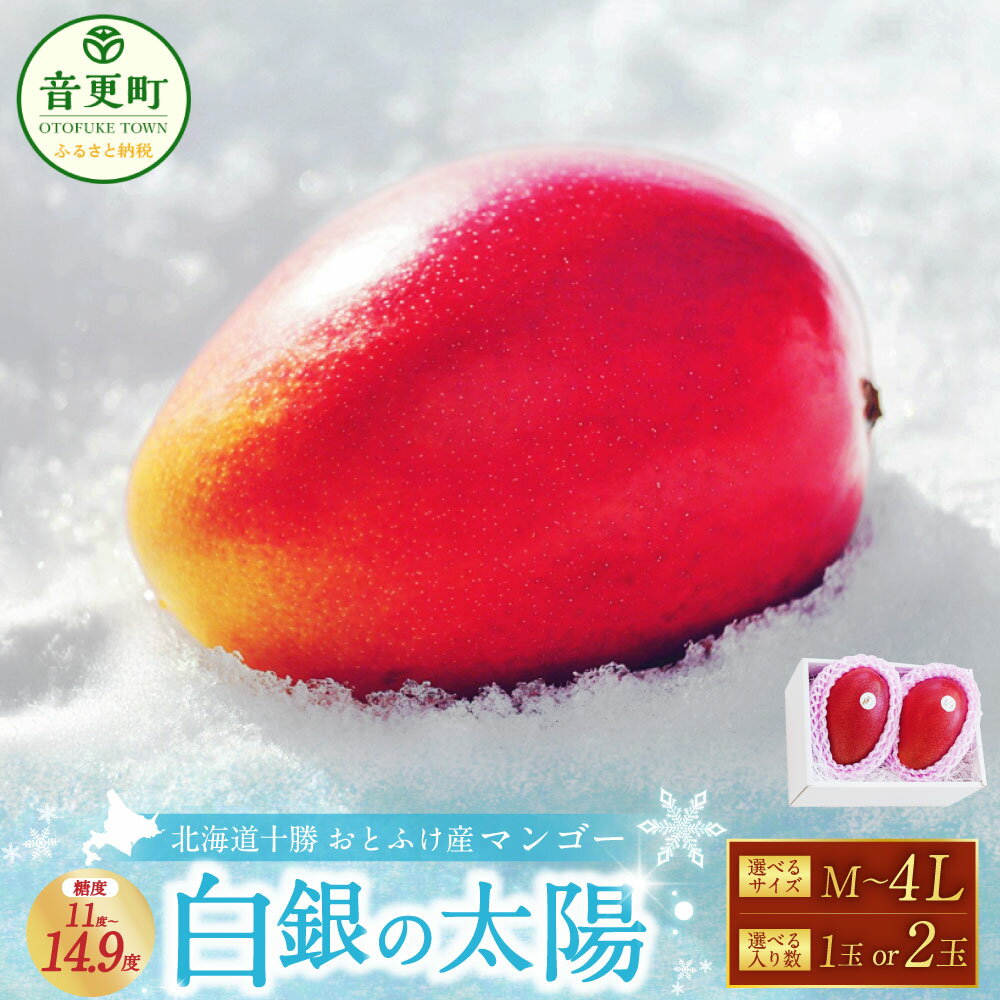 【ふるさと納税】［先行受付］おとふけ産マンゴー「白銀の太陽」＜選べるサイズ・入り数＞ Mサイズ / Lサイズ / 2Lサイズ / 3Lサイズ / 4Lサイズ ・ 1玉 / 2玉《2026年11月上旬より発送開始予定》完熟マンゴー マンゴー フルーツ 果物 糖度11度以上 常温配送 北海道 音更町