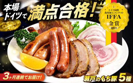 【全3回定期便】「瀬戸のもち豚」IFFA2022金賞受賞5点セット [BAER073]ソーセージ