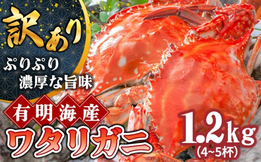 かに【2027年7月～発送】＜訳あり＞ 数量限定 有明海のワタリガニ 約1.2kg（4～5匹） / かに ボイル カニ爪 渡り蟹 / 南島原市 / 長栄丸水産 [SFM001]
