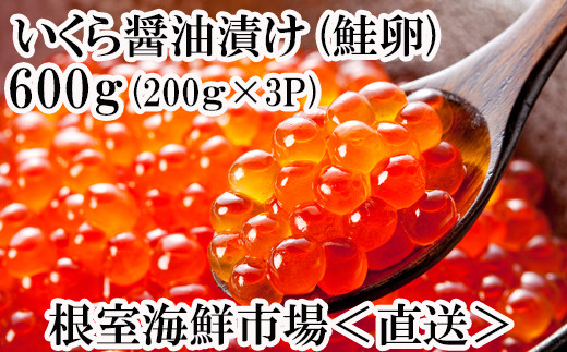 B-14012  ＜計600g＞いくら醤油漬け(鮭卵)200g×3P 【12月8日決済分まで年内配送】