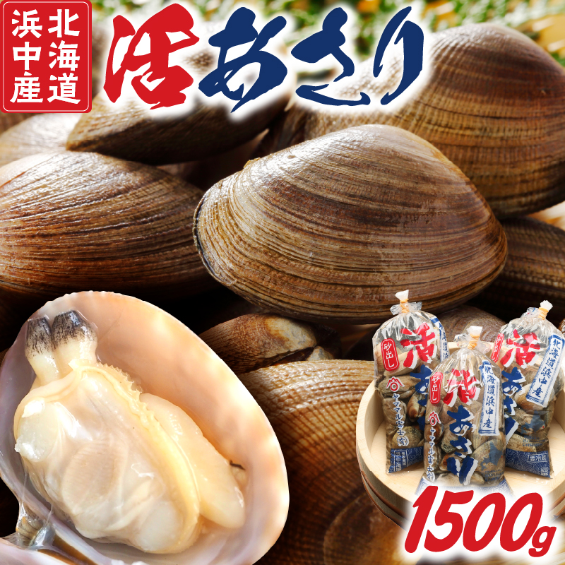 4月～6月発送分《先行予約・期間限定》浜中町産活あさり(500g×3袋セット)_230106-02