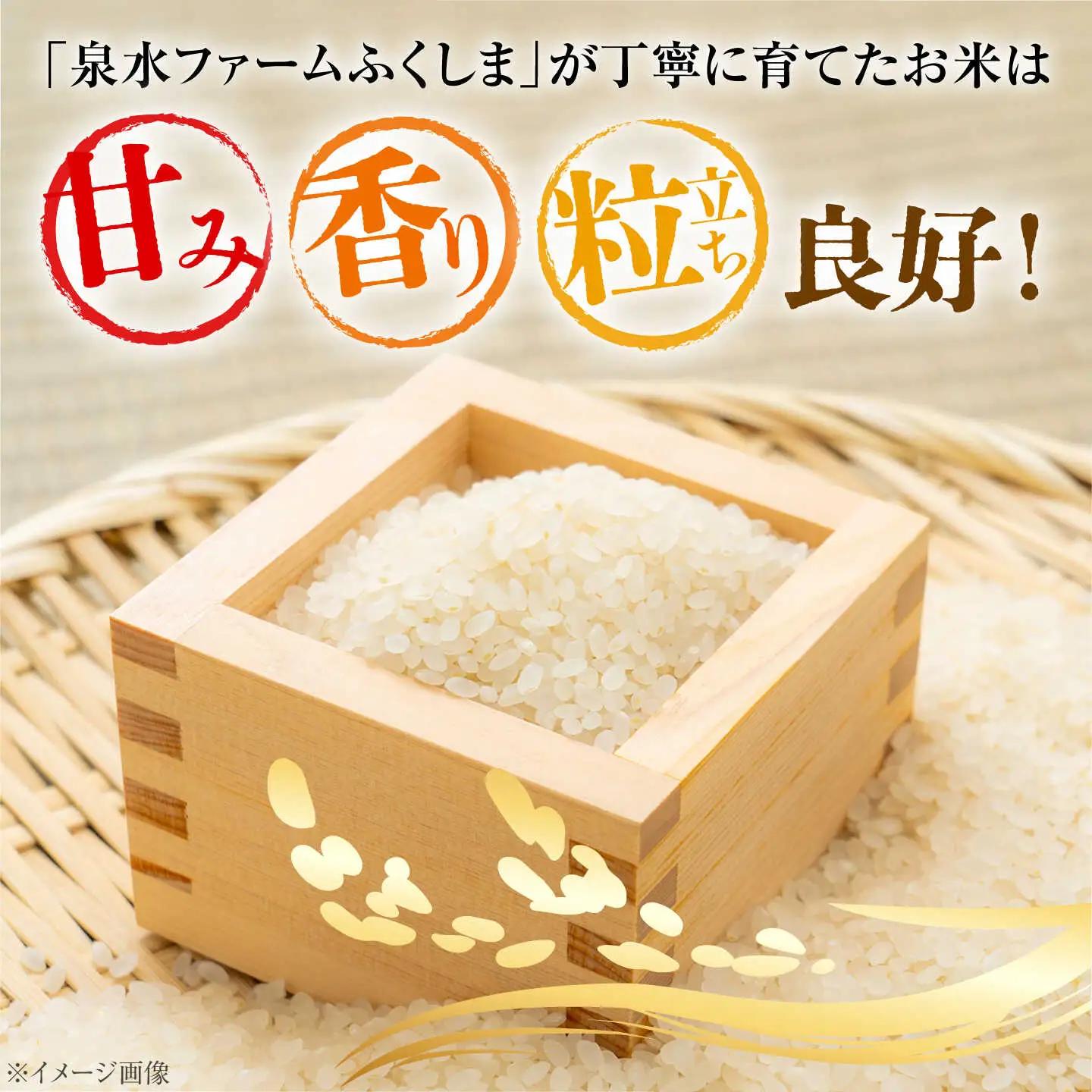 【新米】泉水のこしひかり 3kg×2袋 計6kg [APAJ007] 米