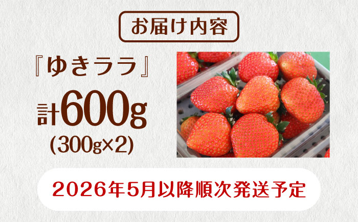 【先行予約 2026年5月以降順次発送】春夏イチゴ「ゆきララ」計600g《厚真町》【こばやしいちご農園】 [AXBT002]