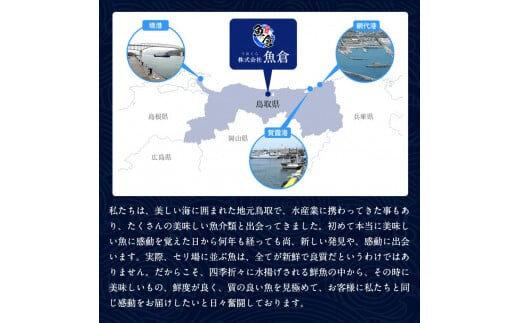 576.【活】鳥取ブランド　松葉ガニ　『五輝星』※2025年11月上旬～2026年3月下旬頃に順次発送予定※着日指定不可