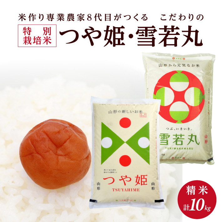 
SA2062　令和6年産【精米】特別栽培米 つや姫・雪若丸　計10kg(5kg×2袋)「農家直送」 KA
