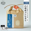 【ふるさと納税】 定期便 米 コシヒカリ 白米 令和6年度米 3ヶ月定期便 選べる 容量 3kg 5kg 全3回 天日干し米 白州産 精米 もっちり米 特別栽培米 貴重 もちもち おにぎり お弁当 【令和6年度新米先行予約】 送料無料
