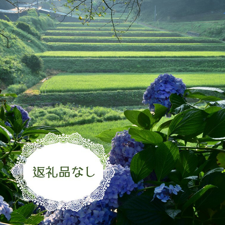 【ふるさと納税】泰阜村への寄付【返礼品なし】