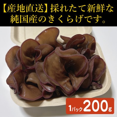 純国産きくらげ　生・乾燥セット【配送不可地域：離島】【1777830】