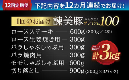 『定期便』_諫早平野の米で育てた諫美豚プレミアム100お勧めセット3kg_全12回
