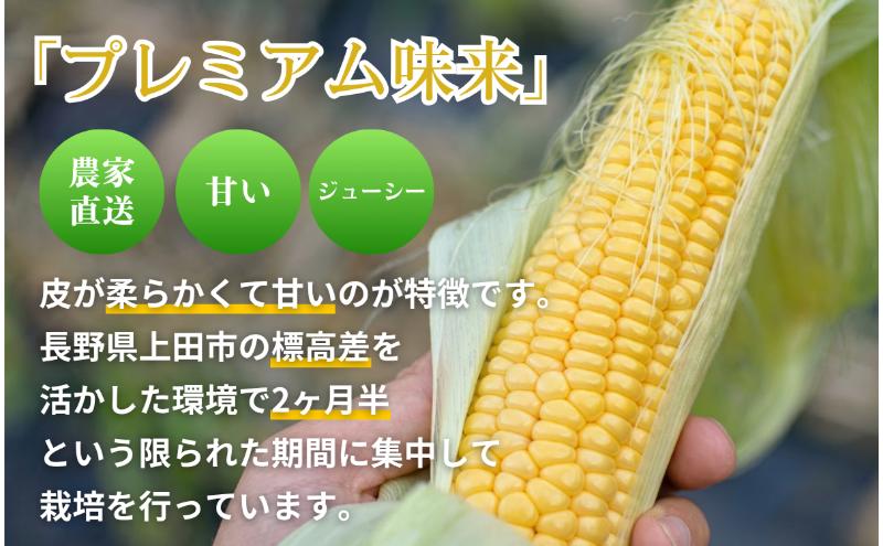 【先行予約】とうもろこし プレミアム味来 みどりの大地 10kg（16～24本入り） 茹でとうもろこし スイートコーン ミラクルコーン 甘いコーン 野菜 長野県 信州 上田