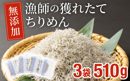 KU093 漁師の獲れたてちりめん 計510g(170g×3袋)【株式会社猪塚水産】【KU093】