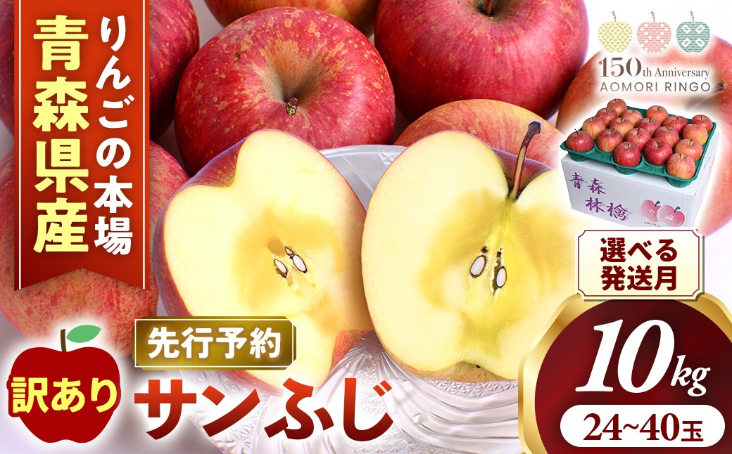 
                  【訳あり】りんご【サンふじ】約10kg（24～40玉）【2026年産・先行予約】★2026年12月上旬～2027年2月頃発送予定★アップル 林檎 フルーツ 果物 果実 青森県産 三戸 産地直送 農家直送 送料無料 R0619 AK-24-P02
                