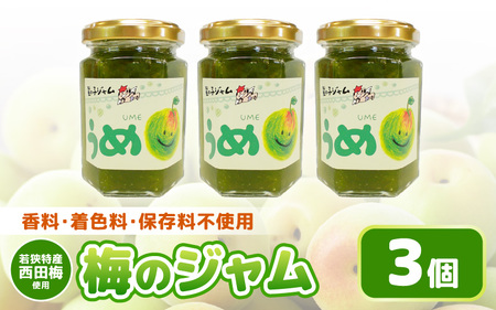 【先行予約】【福井県産】梅を使った 梅ジャム× ３個セット 着色料・保存料不使用！【2026年6月下旬以降順次発送予定】 [m03-a046]