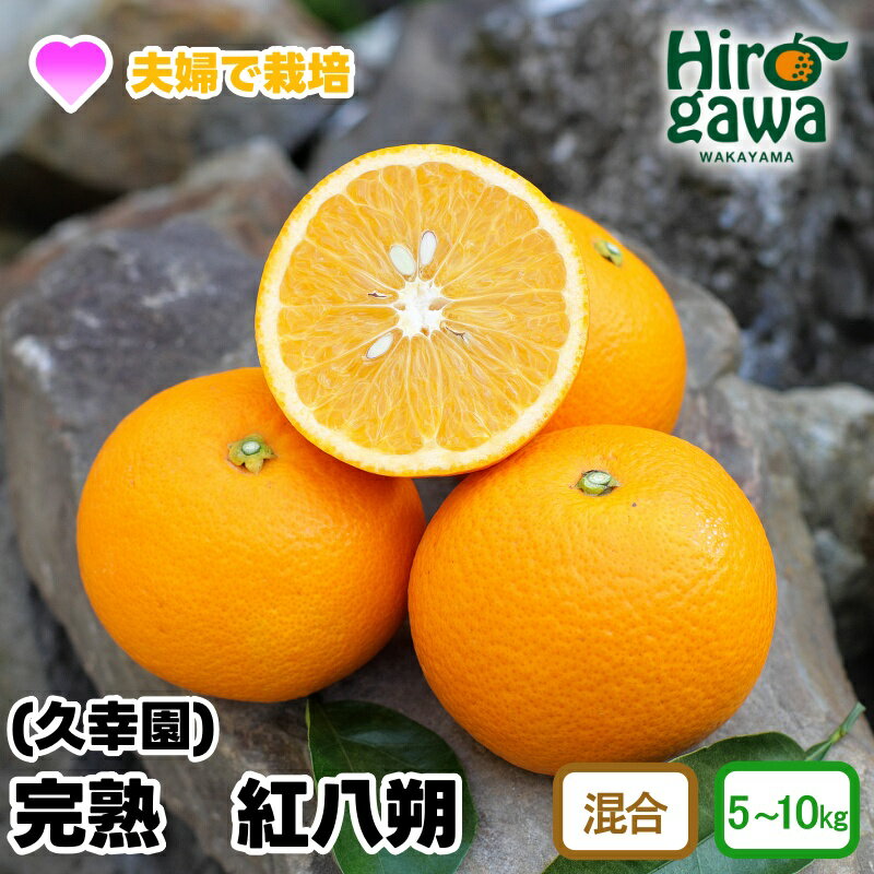【ふるさと納税】 完熟 紅 八朔 5kg 7kg 10kg 10000円 13000円 17000円 久幸園 ※3月中旬〜4月中旬頃に順次発送予定 / 紅八朔 はっさく 樹上完熟 完熟 木成り 柑橘 果物 くだもの フルーツ みかん 和歌山 有田 広川町 //hassaku