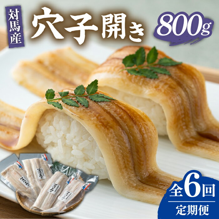 【ふるさと納税】【全6回定期便】対馬 アナゴ 穴子 開き 800g《対馬市》【海風商事】あなご 国産 九州 長崎 海産物 魚 [WAD045] 104000 104000円