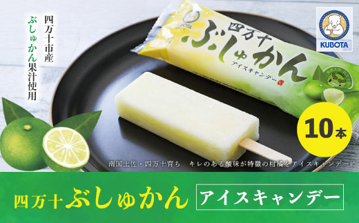 久保田食品 四万十ぶしゅかんアイスキャンデー 10本 入り 冷菓 菓子 冷凍 冷凍便 アイス アイスキャンデー スイーツ おやつ おいしい 柑橘 果汁 四万十市産 ぶしゅかん 人気 おすすめ ご当 ギフト 夏ギフト お中元 お歳暮 のし対応 26