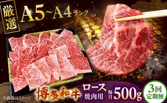 
                  【全3回定期便】【数量限定 博多和牛】ロース 焼肉用 500g ▼ 牛肉 博多 和牛 極上 バーベキュー ブランド 国産 高級 高評価 特別 上質 桂川町/株式会社チクゼンヤ[ADBZ046]
                