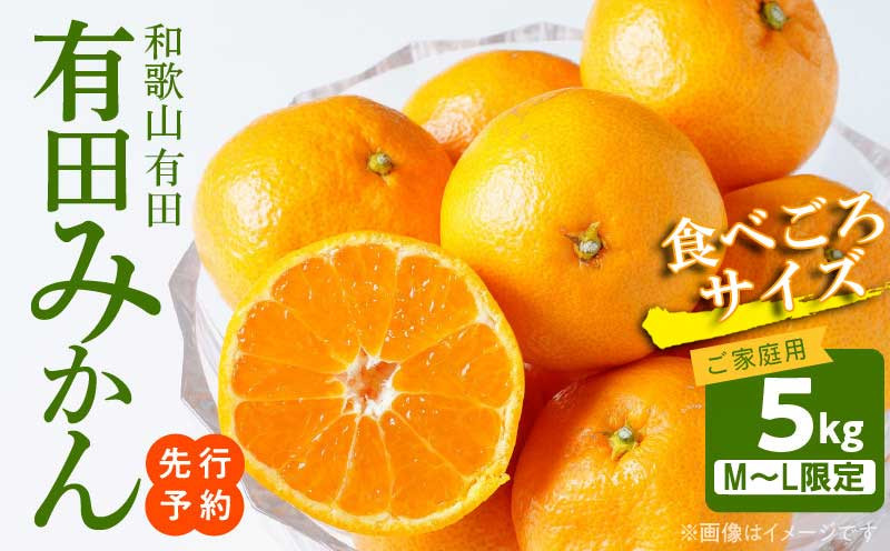 
                  【2026年先行予約】ご家庭用　有田みかん 約5kg (M、Lサイズ)【湯浅町】_AT6304
                