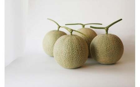 ★品切れ★【琉球マルシェ】毎年大好評！沖縄・宮古島 冬メロン（１玉）贈答用 冬のギフト