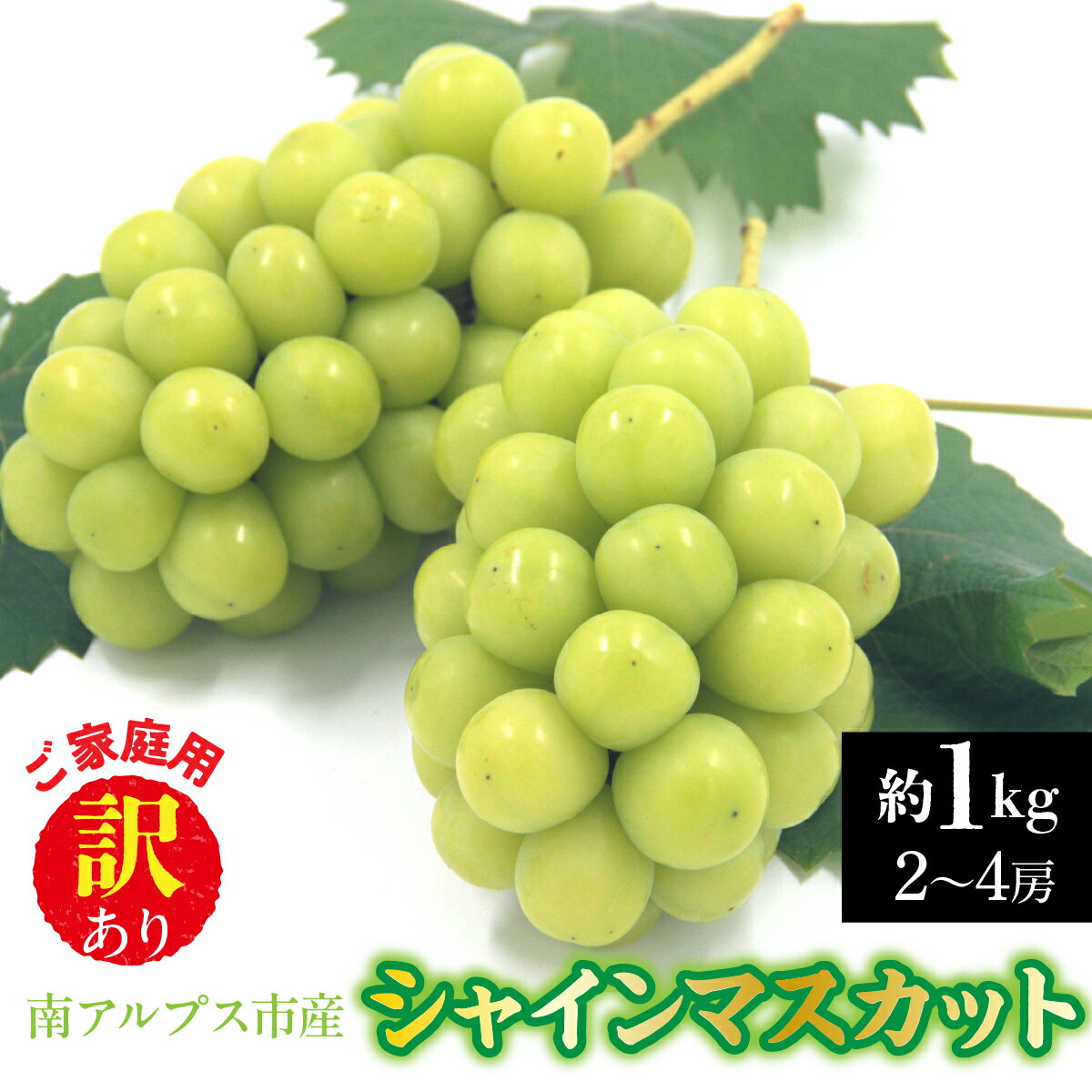 【2026年発送先行予約】南アルプス市産　【訳あり】シャインマスカット　約1.0kg（2～4房） ふるさと納税 シャイン わけあり ワケあり 葡萄 ぶどう 果物 フルーツ おすすめ 山梨県 南アルプス市 送料無料 ALPDD028