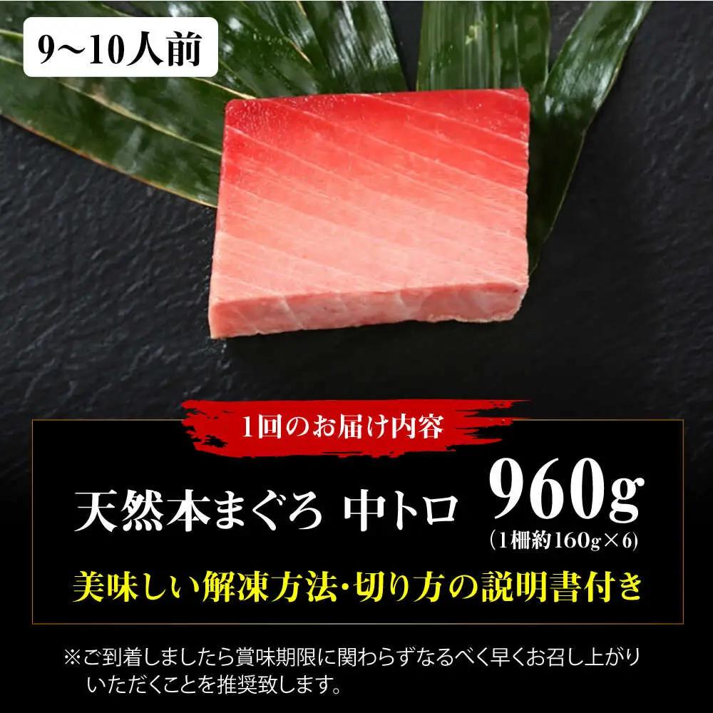 【全12回定期便】たね熟天然本まぐろ中トロ(960g)[AOCE039]マグロ
