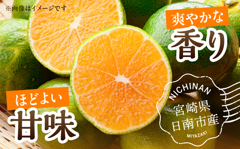 極早生みかん 計4.5kg 傷み補償分付き 期間限定 果物 くだもの フルーツ 蜜柑 ミカン 柑橘 オレンジ おやつ デザート みかんジュース 飲み物 小さい ビタミン補給 おすすめ おすそ分け 国産