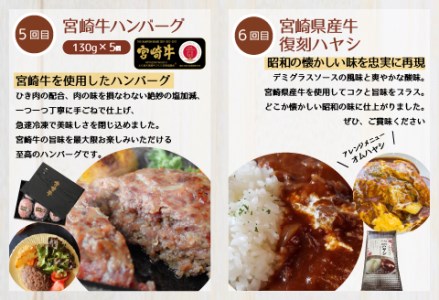 定期便 お手軽おかず 6回 お届け （てまごこちカレーセット 5袋・チキン南蛮10枚食べ比べセット・市場で製造直売の餃子・手羽三昧3種セット・宮崎牛ハンバーグ 5個・復刻ハヤシ 6袋）