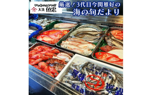 
鮮魚店「魚忠」 厳選鮮魚セット 大洗 厳選 旬 魚 さかな
