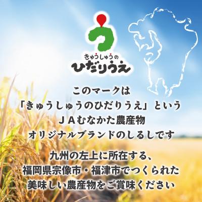 ふるさと納税 福津市 【R7年産】R7年10月〜JAより順次発送 福岡県ブランド米「夢つくし5kg」2袋[G2313b] |  | 02