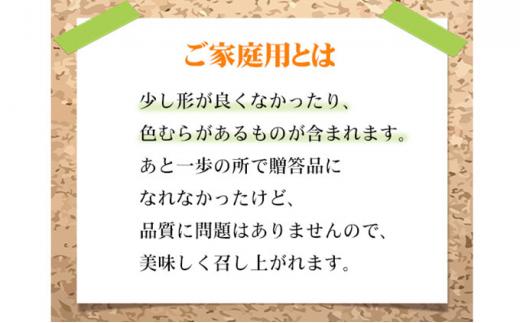 ぶどう 2024年 先行予約 ご家庭用 ニュー ピオーネ 3～6房 約1.5kg ブドウ 葡萄  岡山県産 国産 フルーツ 果物[No.5220-1476]