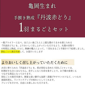 【訳あり 緊急支援】手捌き熟成 丹波赤どり1羽まるごとセット＜京都亀岡丹波山本＞≪特別返礼品 鶏肉 丸１羽 とり肉 国産鶏 国産鶏肉 京都府産鶏肉 京都産鶏肉 地鶏鶏肉 鶏肉地鶏 鶏肉大容量 大容量鶏