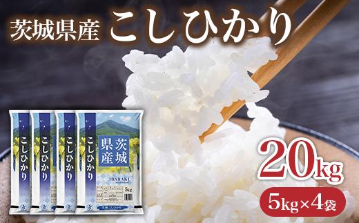 736 茨城県産 こしひかり 米 20kg (5kg×4袋)【石崎商店】